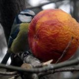 photo 2022-01-24 14-57-23 006