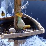 photo 2019-01-21 09-23-24