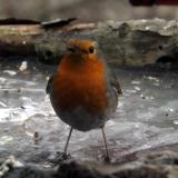 photo 2022-01-24 14-57-23 013