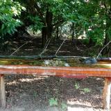 photo 2021-07-24 08-37-58