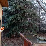 photo 2021-12-15 09-02-17