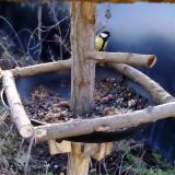 photo 2019-01-02 08-35-38