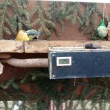 photo 2021-02-01 09-53-39