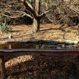 photo 2021-10-27 15-03-44