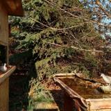 photo 2021-11-17 13-04-39