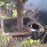 photo 2019-12-12 11-42-42