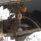 photo 2019-01-28 14-43-43