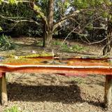 photo 2021-04-12 09-55-33