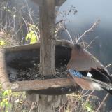 photo 2019-12-23 07-59-24