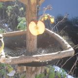 photo 2019-12-03 09-50-37