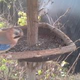 photo 2019-12-19 09-28-56