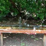 photo 2021-08-04 13-43-49