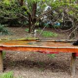 photo 2021-04-19 12-58-38