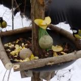 photo 2019-01-12 12-06-52