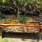 photo 2021-04-21 12-52-37