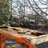 photo 2022-03-03 08-14-15