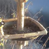 photo 2019-12-30 14-49-49