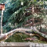 photo 2023-10-03 11-10-32