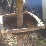 photo 2019-03-05 08-22-00