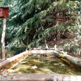 photo 2023-10-11 12-09-05