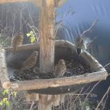 photo 2019-12-26 11-35-17