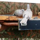 photo 2021-03-05 14-07-23