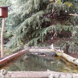 photo 2023-10-10 16-53-28