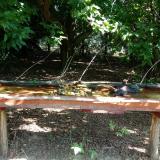 photo 2021-07-21 09-53-23