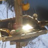 photo 2019-01-27 10-08-37