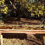 photo 2021-10-20 09-56-38