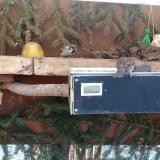 photo 2021-02-12 10-18-00