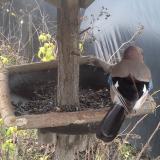 photo 2019-12-22 11-43-02