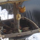 photo 2019-01-29 12-55-47