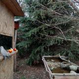 photo 2021-12-18 14-13-49