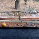 photo 2021-11-07 14-01-08