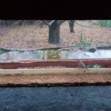 photo 2021-11-28 15-17-03