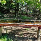 photo 2021-04-26 08-02-05