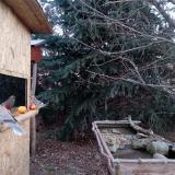 photo 2021-12-21 07-31-38