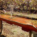 photo 2021-04-03 10-29-03