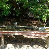 photo 2021-09-26 11-37-28