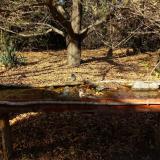 photo 2021-10-25 14-32-41