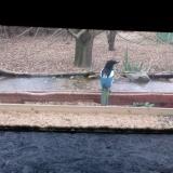 photo 2021-12-09 08-47-24