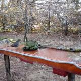 photo 2021-03-23 06-29-58