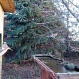 photo 2021-12-13 08-14-14