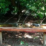 photo 2021-07-24 10-55-16