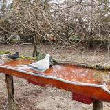 photo 2021-03-23 08-07-35