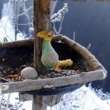 photo 2019-01-21 08-25-25