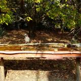 photo 2021-10-12 12-25-39