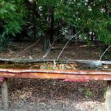 photo 2021-09-24 15-16-47