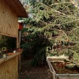 photo 2022-01-01 14-07-31